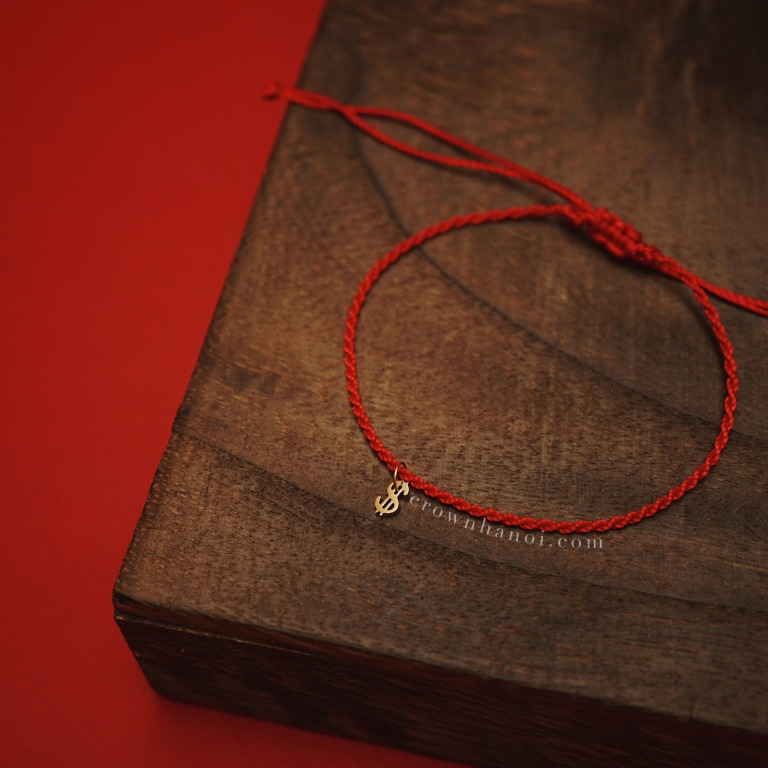 DOLLAR SIGN LUCKY STRING - 02